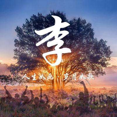 茶座 | 经济学，错了！听马政经研究者说